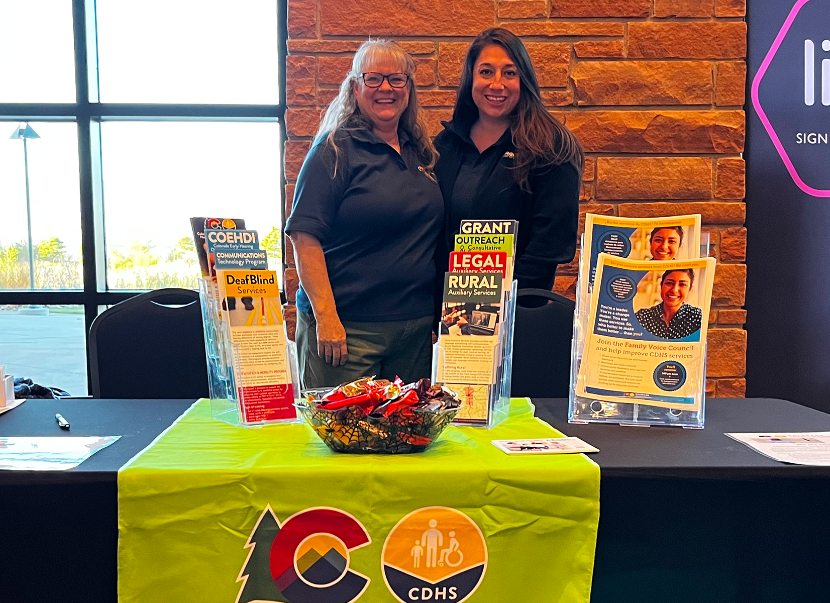 Advocacy and engagement with systems and institutions